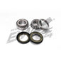 Bearing Worx - Steering Head Kit Yamaha