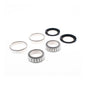 Bearing Worx - Steering Head Kit Honda